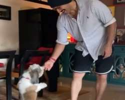 Duggal has also adopted a cute dog in his home.